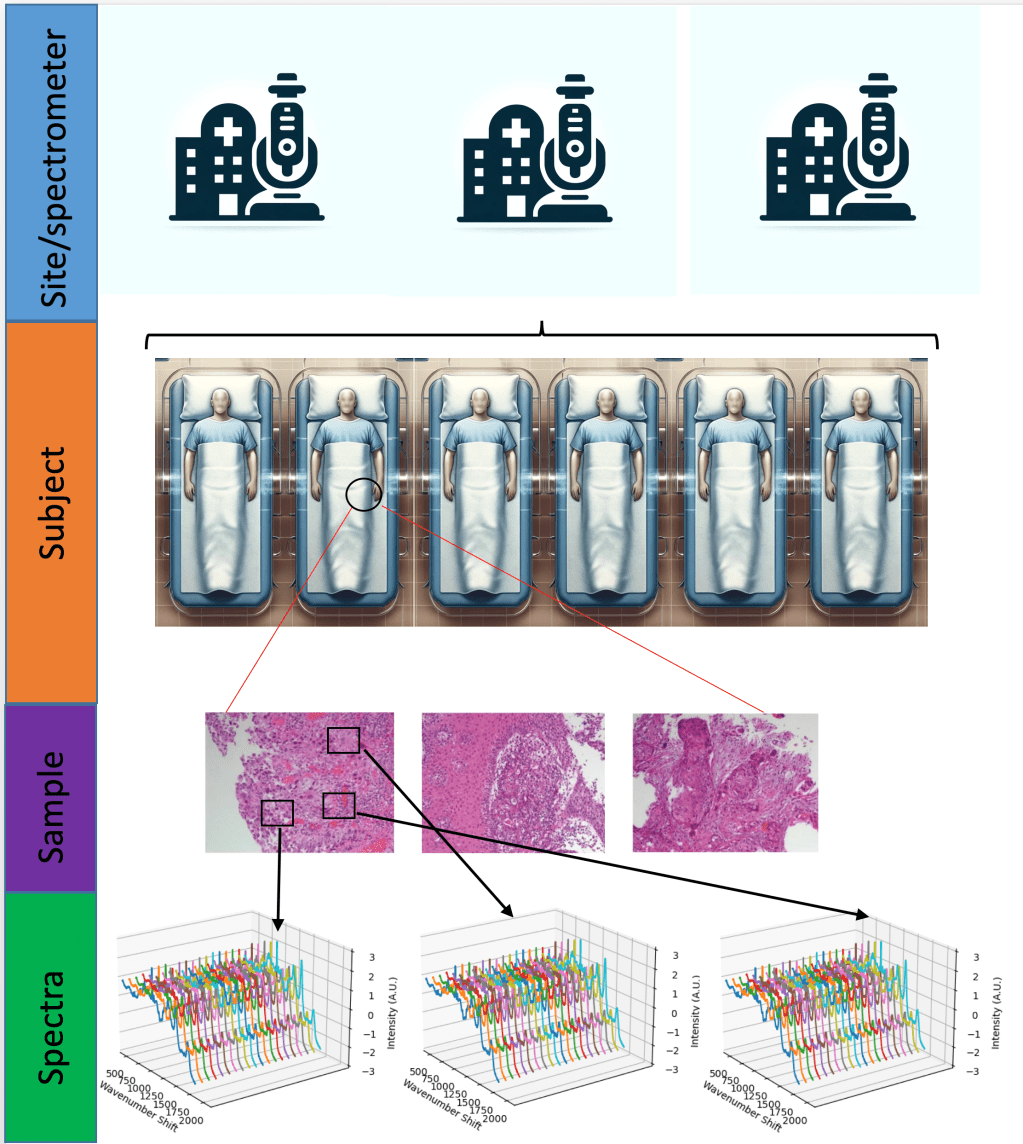 The generalisation gap in medicine: why ‘good’ models don’t work in the clinical&nbsp;setting